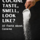 What Does Cocaine Taste Like? 2 how does cocaine