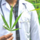 Weed Detox: Factors Affecting THC Clearance Time 100 How to Get Weed Out of Your System Quickly